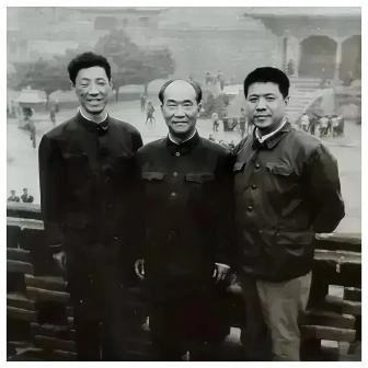 杨振华 档案图片