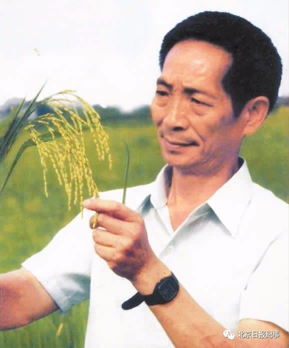 袁隆平 档案图片
